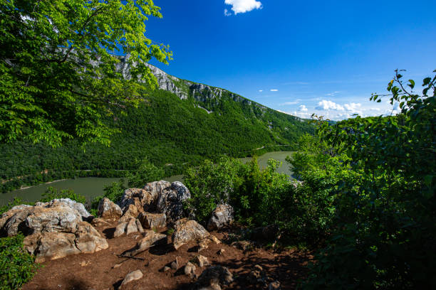 o cume elevado na costa sérvia de danúbio visto da montanha de ciucaru mare no lado romanian durante o verão - danube river romania serbia river - fotografias e filmes do acervo