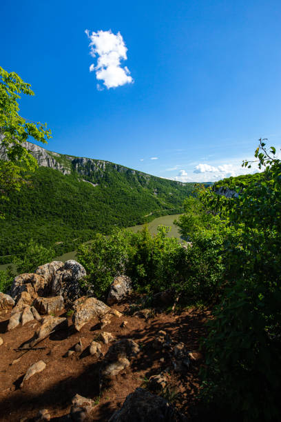 o cume elevado na costa sérvia de danúbio visto da montanha de ciucaru mare no lado romanian durante o verão - danube river romania serbia river - fotografias e filmes do acervo