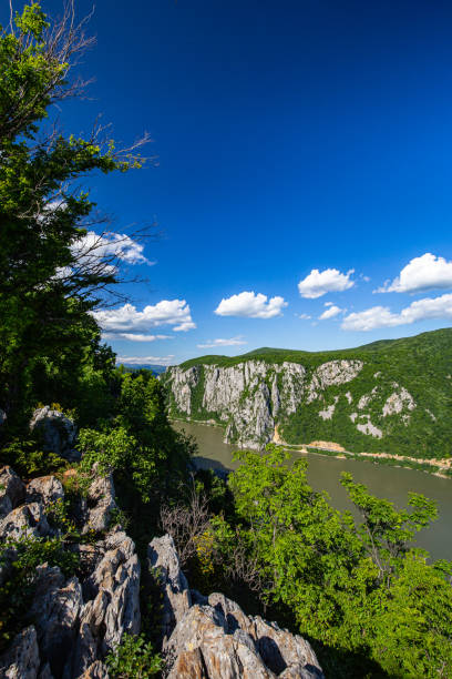 o cume elevado na costa sérvia de danúbio visto da montanha de ciucaru mare no lado romanian durante o verão - danube river romania serbia river - fotografias e filmes do acervo