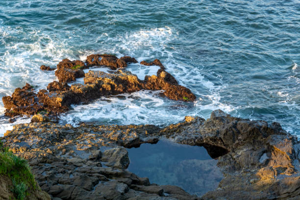 istock Waves Crashing Against Rocks at Low Tide Expose Tide Pools in Laguna Beach 1163429006