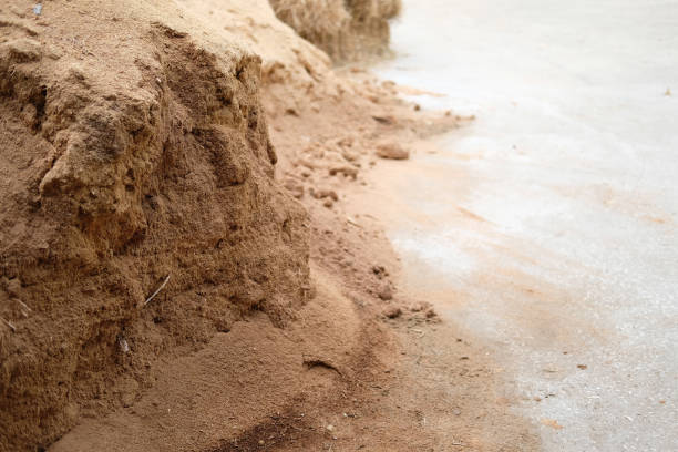 istock sawdust substrate for growing mushroom in farm 1163429791