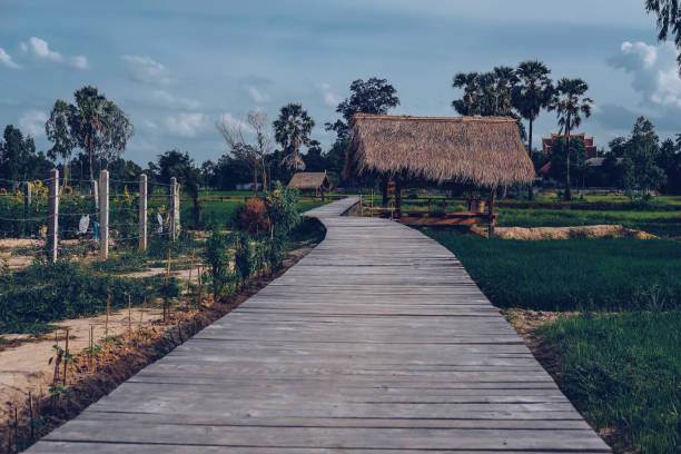 istock wooden bridge footbridge walkway pathway along rice paddy field 1163429798
