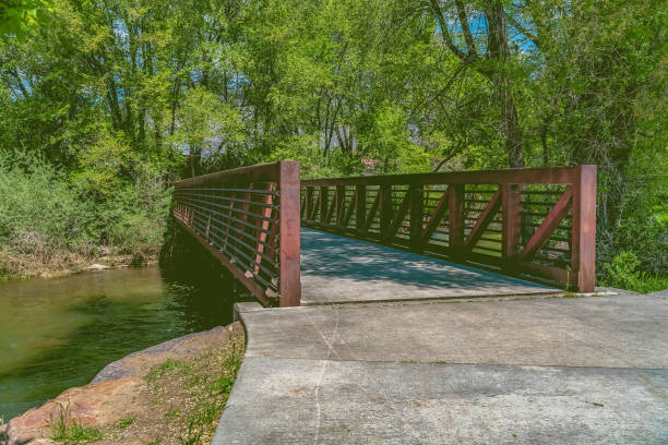 istock Bridge over a lake surrounded by lush trees against blue sky on a sunny day 1163431555