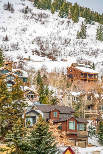 istock Multi storey residences built on a mountain blanketed with fresh snow in winter 1163434912