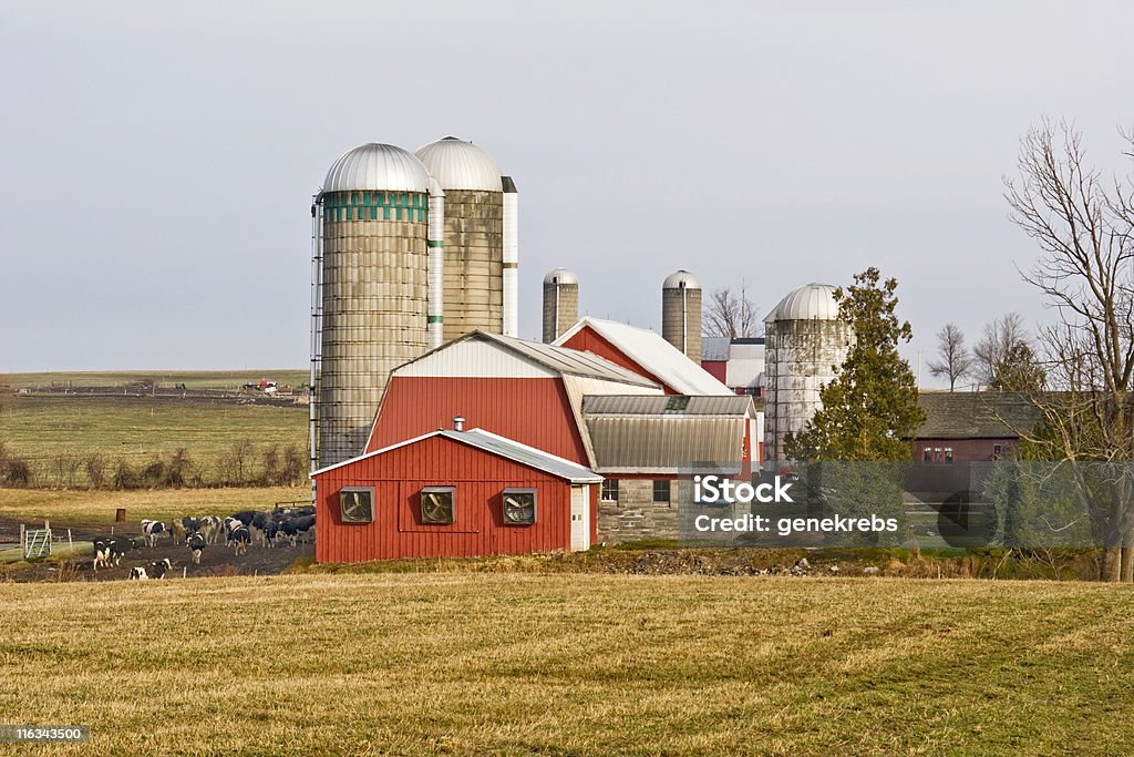 Farmstead auf einer Winter-Morgen - Lizenzfrei Agrarbetrieb Stock-Foto