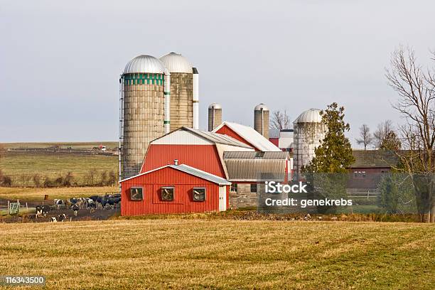 Farmstead Auf Einer Wintermorgen Stockfoto und mehr Bilder von Agrarbetrieb - Agrarbetrieb, Baum, Bundesstaat New York