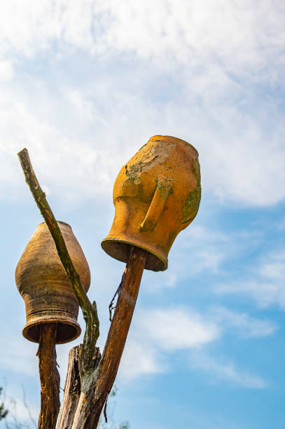 istock Clay jugs on the branches of a dry tree. 1163435885