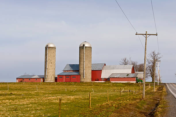 istock Farmstead on a Winter  Morning 116343837