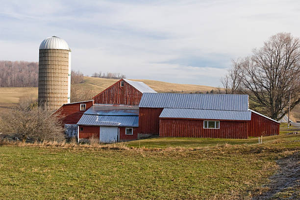 istock Farmstead on a Winter  Morning 116343844