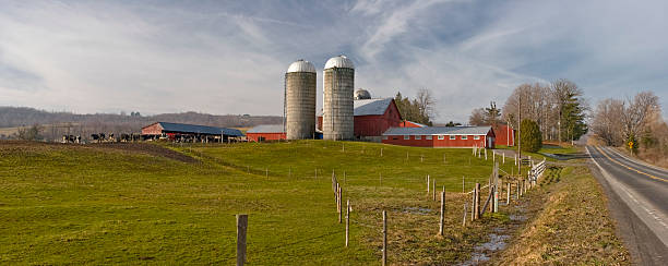 farmstead панорама на зимнее утро - landscaped landscape winter usa стоковые фото и изображения