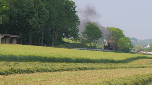 istock Steam Train pulling into Picnic Area to Dropping off Passengers on a Summer Day 1163441154