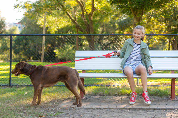 Free Stock Photo of Young happy girl with her cute dog on a park bench ...