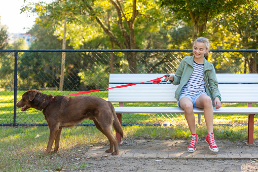 Dog Pulling on a Leash With Young Girl