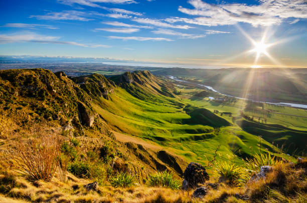 lever de soleil à te mata peak, nouvelle-zélande - north island new zealand photos et images de collection