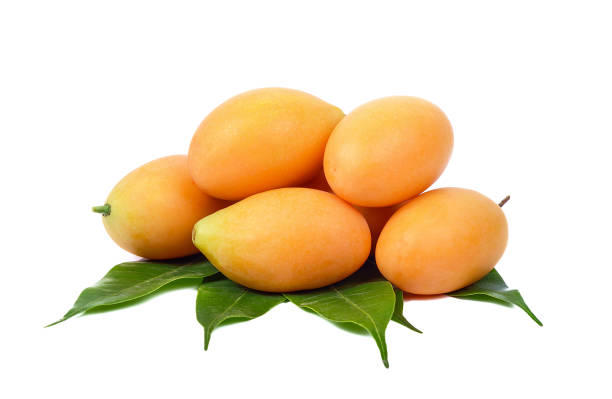 fruta tailandesa de ciruela mariana dulce aislada sobre fondo blanco (mayongchid maprang marian plum y plum mango,tailandia) - marian fotografías e imágenes de stock