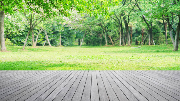 istock Wooden walkway in the spring green garden 1163452073