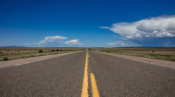 istock Long highway in the american desert, blue sky with clouds 1163458850