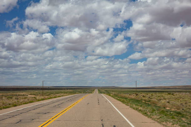 istock Long highway in the american desert, cloudy blue sky 1163458863