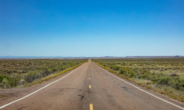 istock Long highway in the american desert, blue sky 1163458901
