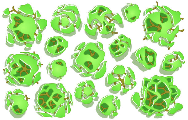istock Set of trees in top view. Different icon of plants and trees for architectural or landscape plan. View from above. Nature gret en spaces. Vector 1163459763