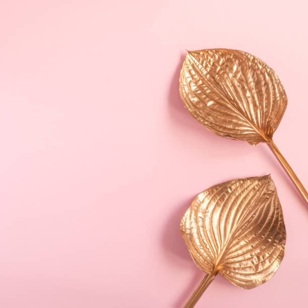 istock Golden leaves on pastel pink 1163459854