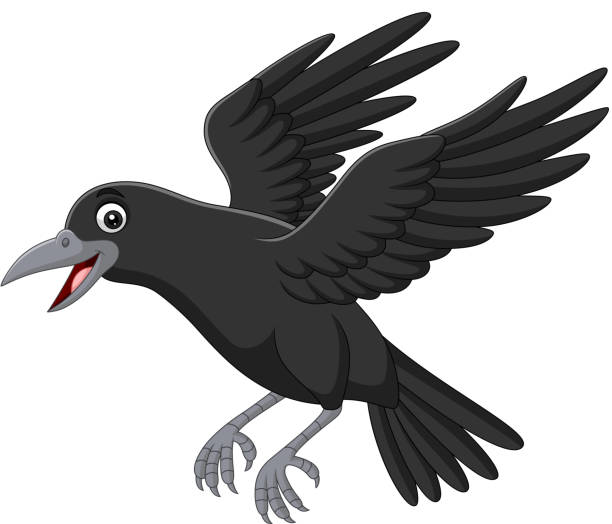 Cartoon crow flying isolated on white background Vector illustration of Cartoon crow flying isolated on white background raven bird stock illustrations