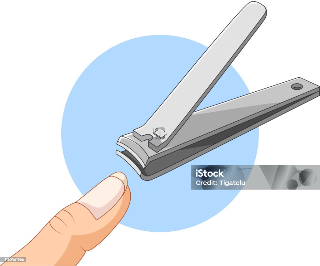 Cartoon Of Nail Clipper On White Background Stock Illustration - Download  Image Now - Fingernail, Toenail, Cutting - iStock