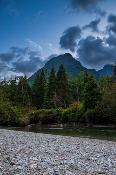 istock Mountain and forest along Gold Creek Trail 1163462632