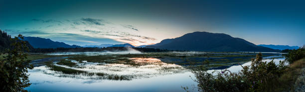 istock Early morning panorama of marshlands and mountain range 1163462801