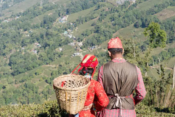 Beautiful young couple in love. Indian tea puckers, romantic couple woman and man caught in summer time in a mountain terrace tea garden on May Day - International Workers Day. Assam Darjeeling India.