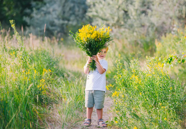 happy child boy with bouquet of wild flowers in his hands enjoying for mother. - footpath small green white imagens e fotografias de stock