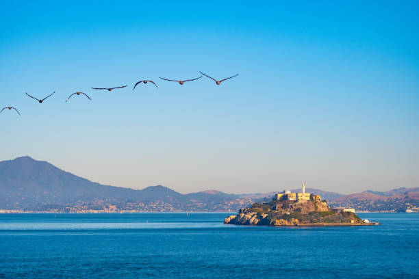 famosa isola di prigione di alcatraz nella baia di san francisco, al largo di san francisco, california - san francisco bay area northern california california western usa foto e immagini stock