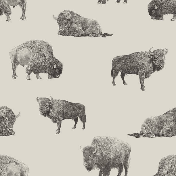 ilustrações de stock, clip art, desenhos animados e ícones de buffalo & bison seamless repeat pattern - bisonte