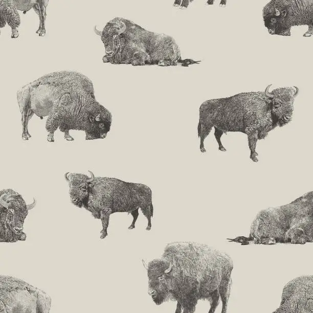 Vector illustration of Buffalo & Bison Seamless Repeat Pattern