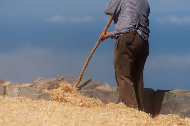 Businessman picking-up hay bale