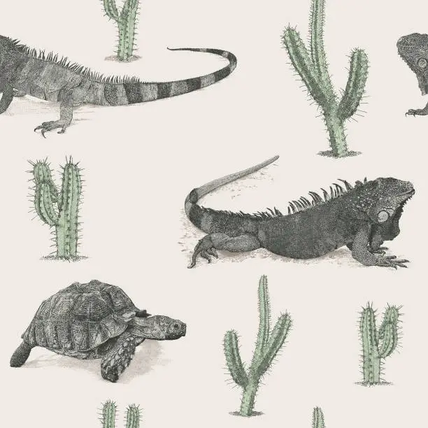 Vector illustration of Iguana, Tortoise & Cactus Seamless Repeat