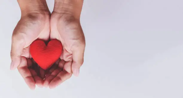 Photo of heart on hand for philanthropy / woman holding red heart in hands for valentines day or donate help give love warmth take care