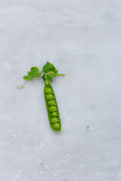 Fresh green peas in rustic plate on white marble background with copy space