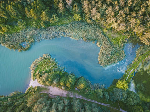 istock High Angle View Of Tree By Lake 1163484082