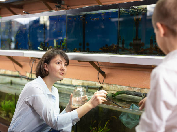 istock Saleswoman catching fish for boy 1163485255