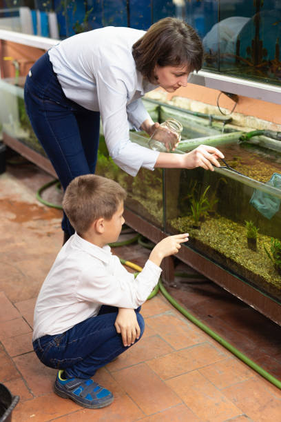 istock Saleswoman catching fish for boy 1163485292
