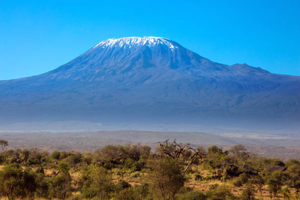 The most visited park in Kenya stock photo