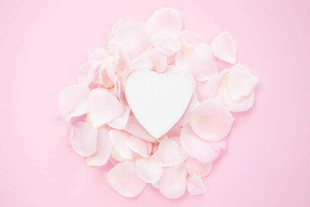 istock Decorative white heart with flower petals on a pink background. Flat lay. 1163487990