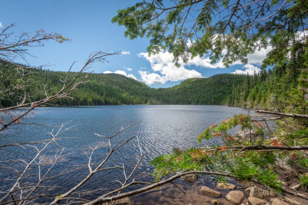 istock Lake in Les Grands-Jardins National Park 1163488108