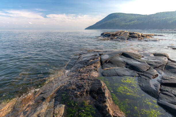 istock Rocky shore of the St. Lawrence River 1163488213
