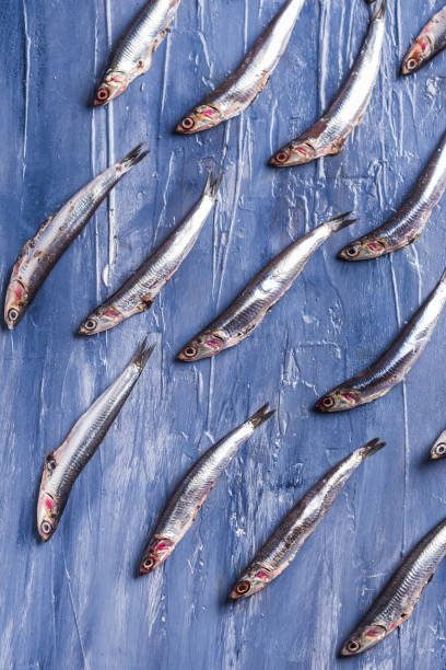 istock Fish pattern. Fresh anchovies on blue 1163491093