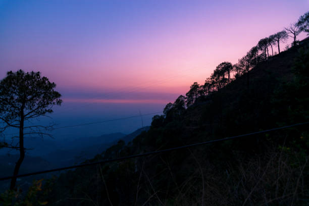 istock Beauty in Nature 1163491528