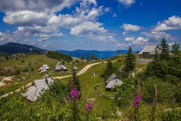 Photo of Summer view Big Pasture Plateau (Velika Planina) with flowers is a karstified mountain plateau in the Kamnik–Savinja Alps northeast of Kamnik, Slovenia