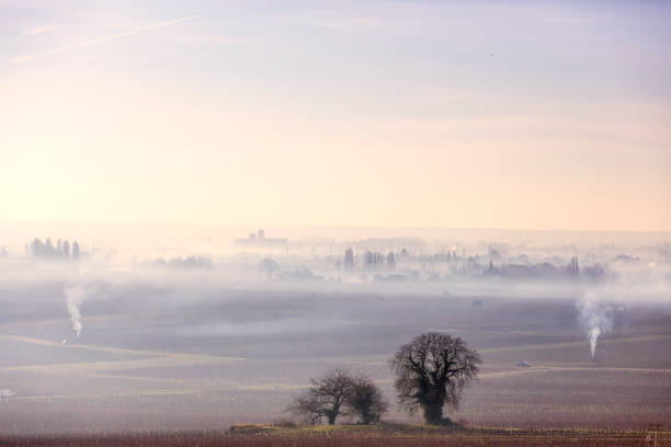 Winter landscape in the Burgundy vineyards. The season of pruning vines and burning of the woods has begun. The smoke from the fires of branches rises in the sky of Beaune.