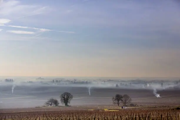 Winter landscape in the Burgundy vineyards. The season of pruning vines and burning of the woods has begun. The smoke from the fires of branches rises in the sky of Beaune.